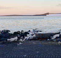 Hilton Motel - Perisher Accommodation