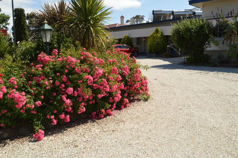 Wattle Grove Motel Maryborough - Perisher Accommodation 4