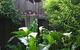 C & As Cottage - thumb 2