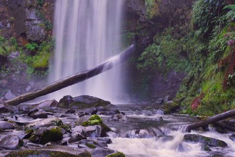 Southern Anchorage Retreat - Perisher Accommodation 4