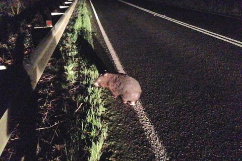 Southern Anchorage Retreat - Perisher Accommodation 1