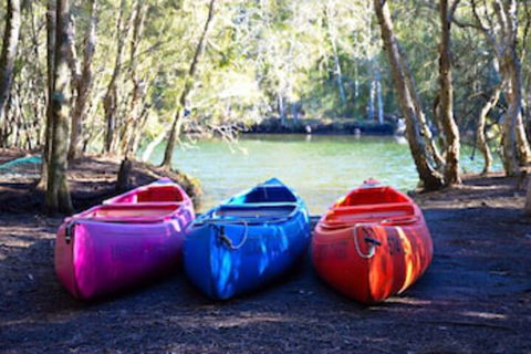 Jervis Bay Cabins & Hidden Creek Campsite - Perisher Accommodation 0