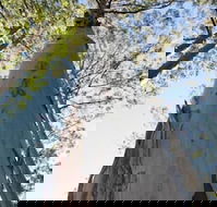 Salisbury Lodges - Perisher Accommodation