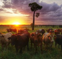 Myella Farm Stay - Perisher Accommodation