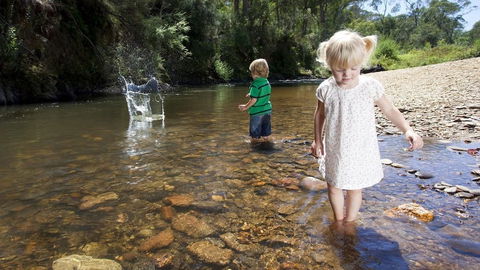 Mystic View Cottage Wandiligong - Perisher Accommodation 4