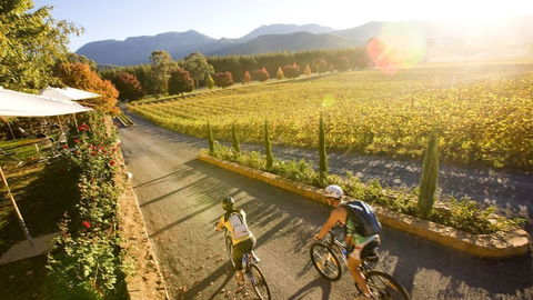 Mystic View Cottage Wandiligong - Perisher Accommodation 5