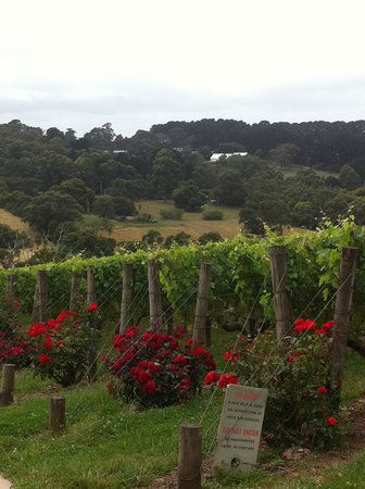 Paringa Estate - Perisher Accommodation 0