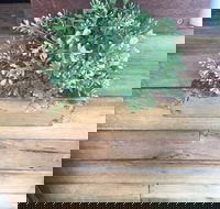 Double Mac - Perisher Accommodation