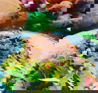 Salad Bar - Surry Hills - Perisher Accommodation