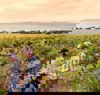 Boston Bay Wines - Perisher Accommodation