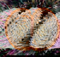 La Bouche - Perisher Accommodation