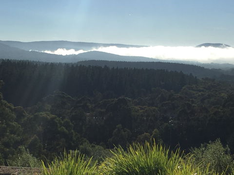 The Wine Collective - Perisher Accommodation 1