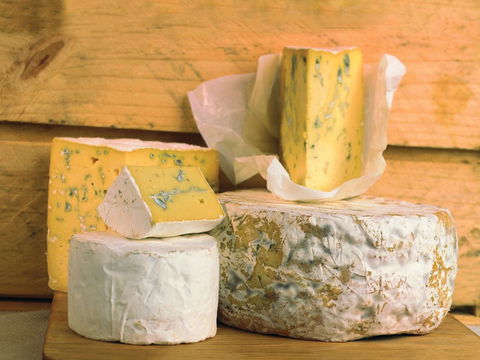 Cheese Shop At Makers' Workshop Burnie - The - Perisher Accommodation 1