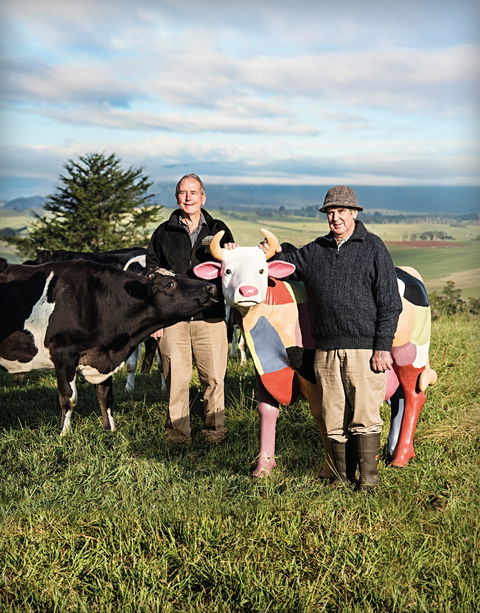 Ashgrove Farm Cheese - Perisher Accommodation 1