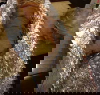 North Rocks Gourmet Pizza - Perisher Accommodation