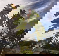 Banca Ridge Cellar Door and Vineyard - Perisher Accommodation