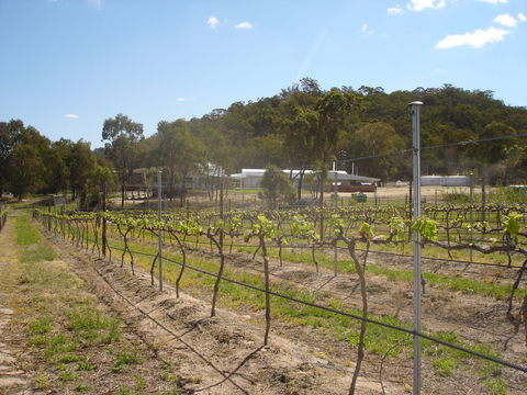 Banca Ridge Cellar Door And Vineyard - Perisher Accommodation 2