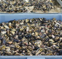 Lease 65 - Perisher Accommodation