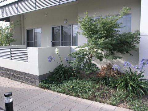 Kesh At Aamira - Perisher Accommodation 16