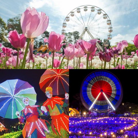 Modern Executive Apt@Barton*1BR*WiFi*Gym*Secure Parking*Canberra - Perisher Accommodation 28