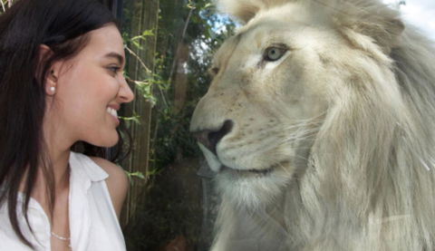 Modern Executive Apt@Barton*1BR*WiFi*Gym*Secure Parking*Canberra - Perisher Accommodation 30