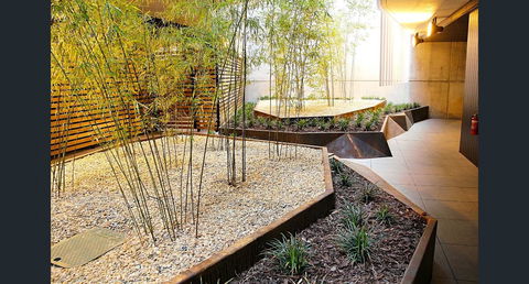 Stylish, Modern, Cute As A Button - Braddon CBD - Perisher Accommodation 2