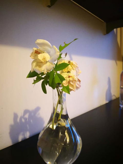 Space And Quiet Safe Room Canberra - Perisher Accommodation 10