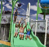 Discovery Parks  Barossa Valley - Perisher Accommodation