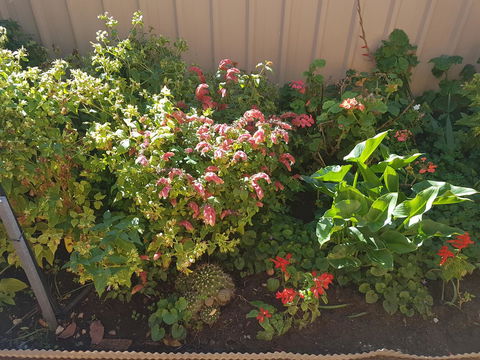Tanunda\'s Magpie House - Perisher Accommodation 24