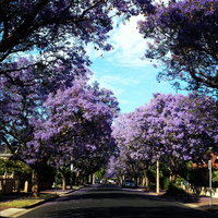 Book Wayville Accommodation Vacations Perisher Accommodation Perisher Accommodation