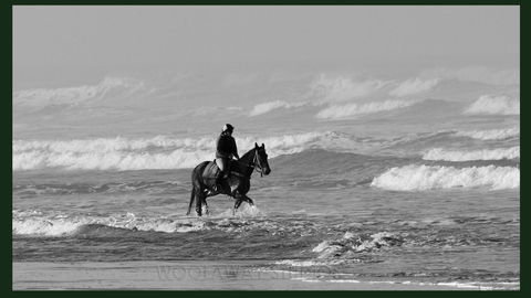Gumnut Getaway BnB - Perisher Accommodation 19