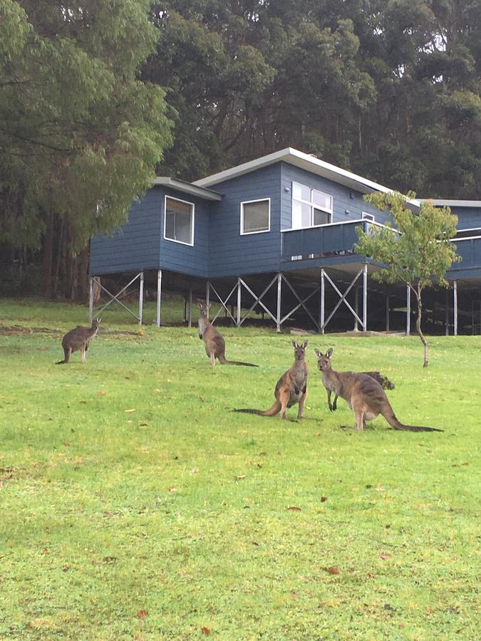 Kentdale WA Perisher Accommodation
