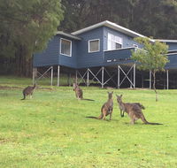 Blue House Denmark - Perisher Accommodation