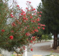 The Heights Bed  Breakfast - Perisher Accommodation