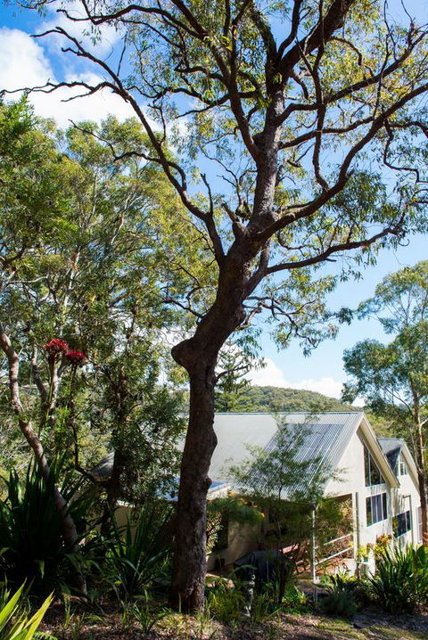 Nelson Bay Bed & Breakfast - Perisher Accommodation 42