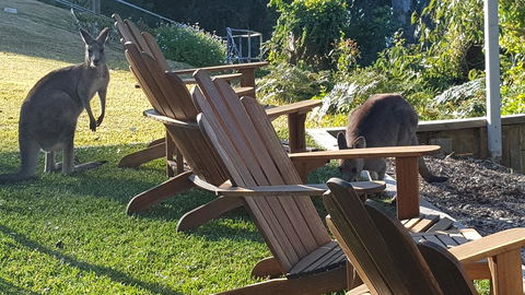 The Edgewater On Greville - Perisher Accommodation 18