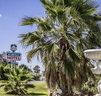 Allonville Gardens Motel - Perisher Accommodation