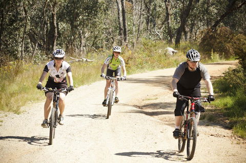 Mercure Albury - Perisher Accommodation 18