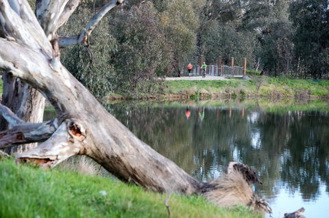 Mercure Albury - Perisher Accommodation 15
