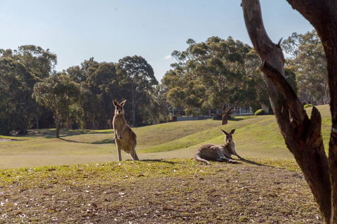 Horizons Retreat & Golf, Villa 133 - Perisher Accommodation 18