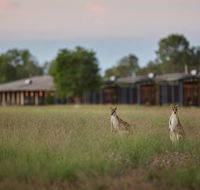Wildman Wilderness Lodge - Perisher Accommodation