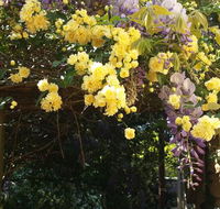 Bowral Road Bed and Breakfast - Perisher Accommodation