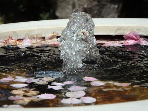 Bowral Road Bed And Breakfast - Perisher Accommodation 2