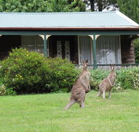 Cedar Lodge Cabins - Perisher Accommodation