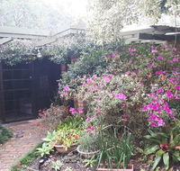 Charming country house close to Grafton - Perisher Accommodation