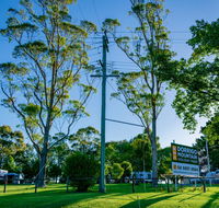 Dorrigo Mountain Holiday Park - Perisher Accommodation