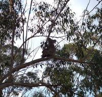 Escape to the Country - Enjoy the firepit or explore magical Bunya Mountains - Perisher Accommodation