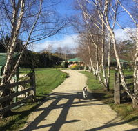 Green Gables BB - Perisher Accommodation