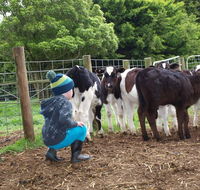 Manderley Park Farmstay BB - Perisher Accommodation