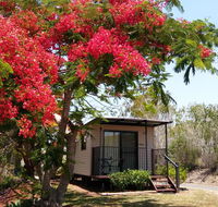 Mt Larcom Tourist Park - Perisher Accommodation